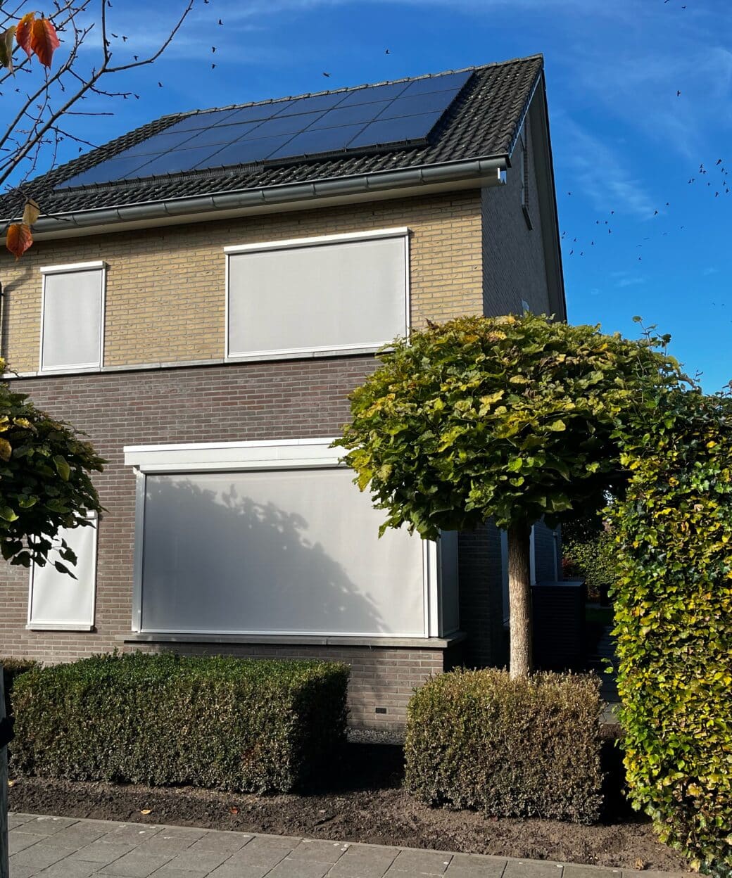 T71745 Tibelly screendoek