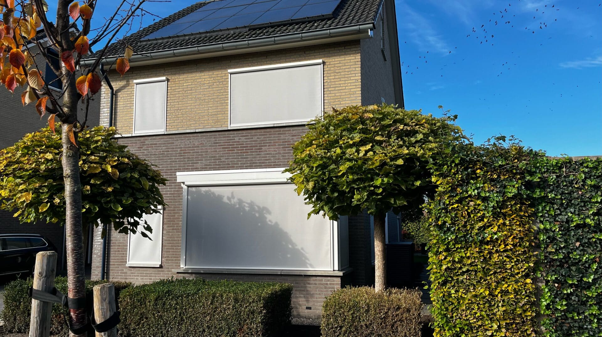 T71745 Tibelly screendoek